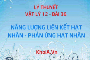 Lực hạt nhân là gì? Phản ứng hạt nhân là gì? Công thức tính năng lượng liên kết, năng lượng tỏa ra - Vật lý 12 bài 36